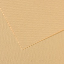 Бумага для пастели Canson Mi-Teintes, 160 гр/м2, 50 x 65 см