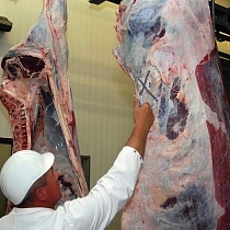 Маркер-карандаш Markal Meat Marker для маркировки мяса, 9 мм