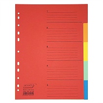 Разделитель листов А4 картонный цветной Quantus, 5 разделов, 180 г, 5 листов